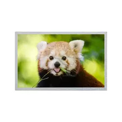 Panel LCD AUO 12,1 Inci 800 * 600 G121S1-L02 REV C4 / REV C6 Modul Layar LCD TFT