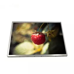 G121SN01 V403 AUO LCD Panel 12.1 Inci 800x600 500 Nits TFT Modul LCD